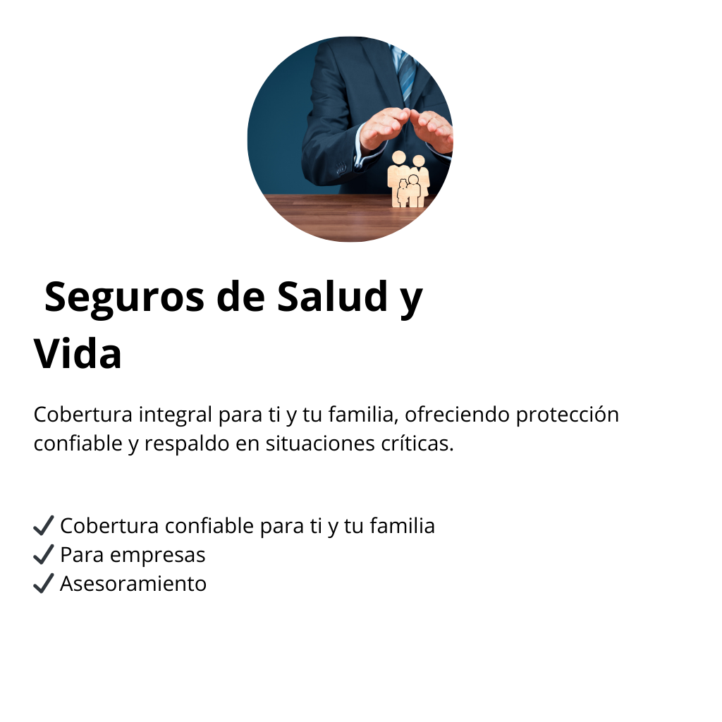 yedra seguros y trámites vehiculares (10)