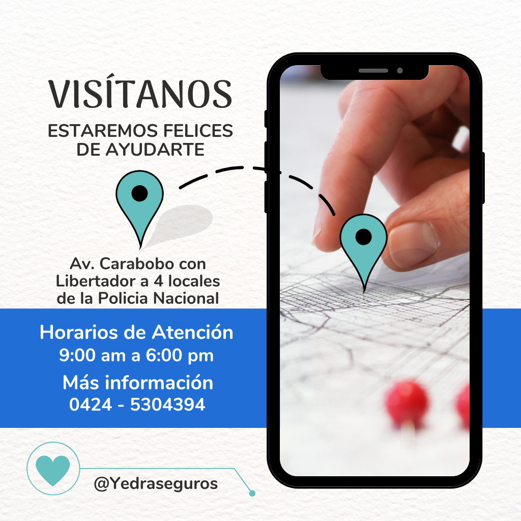 yedra seguros y trámites vehiculares (12)